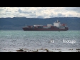 Container Ship Napier 5 1835